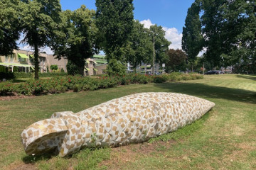 Koekoeksklokgewicht