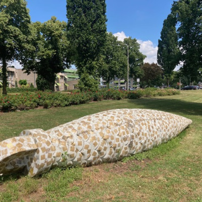 Koekoeksklokgewicht