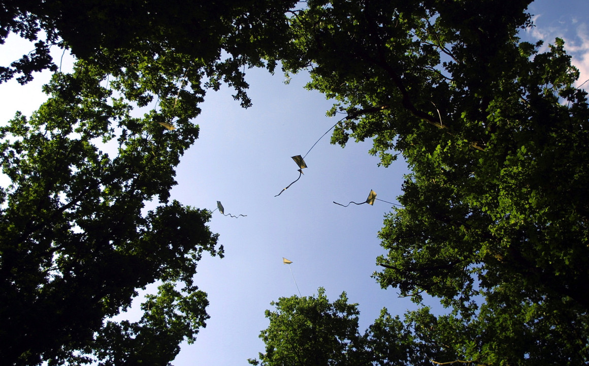 Skylight